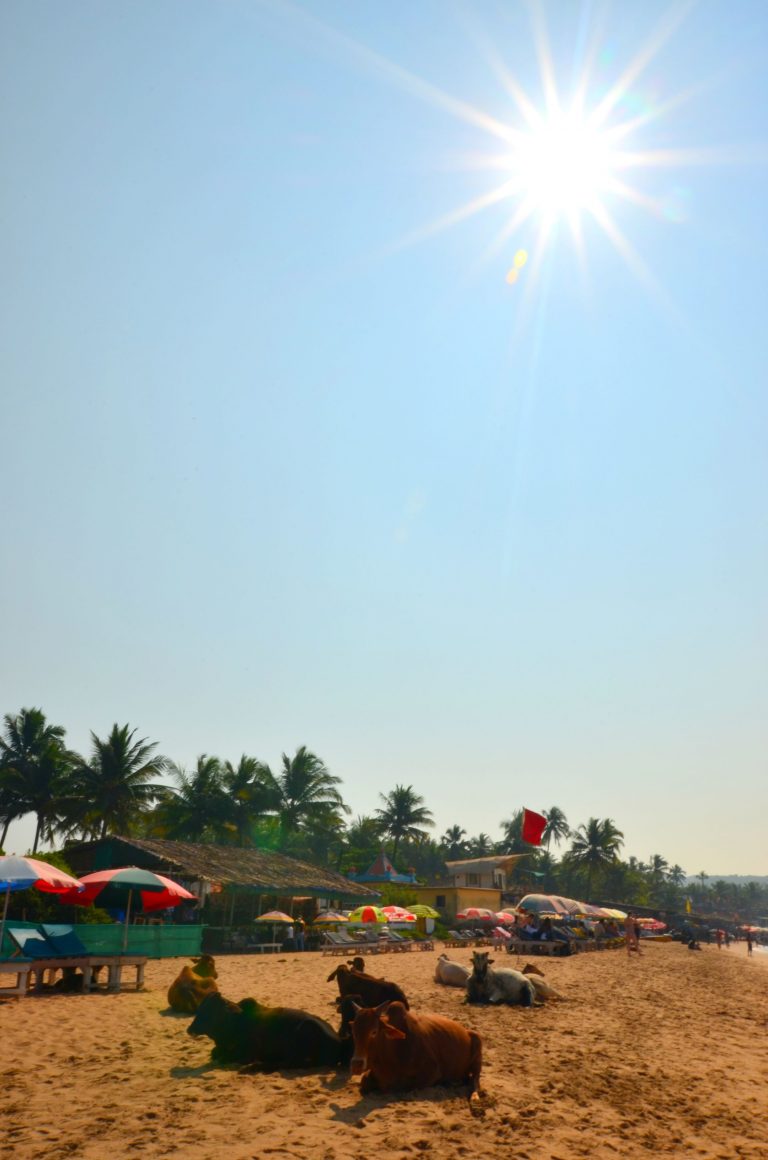 dsc_0571_2
